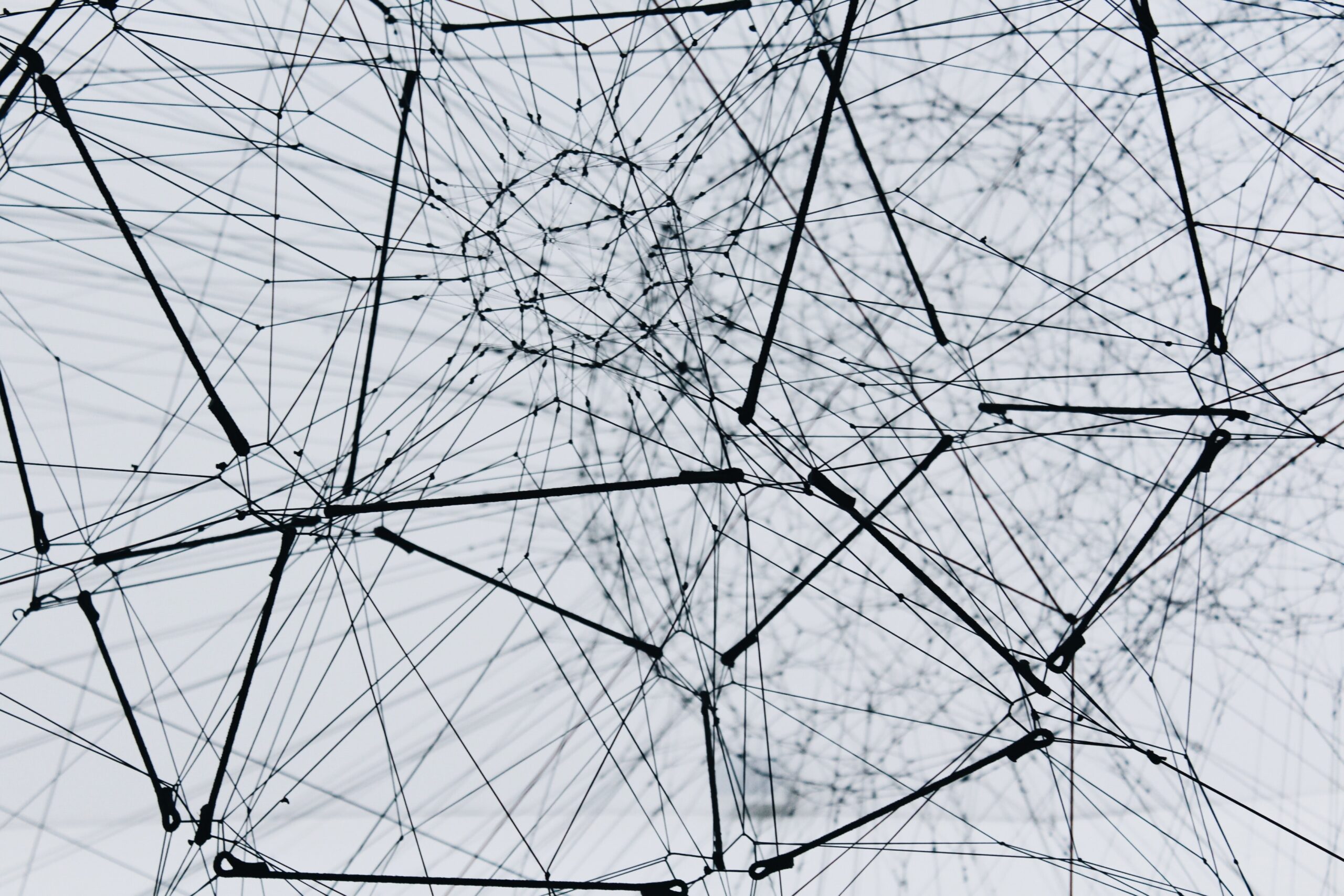 ODISSEI Lunch Lecture: Population Scale Social Network Analysis