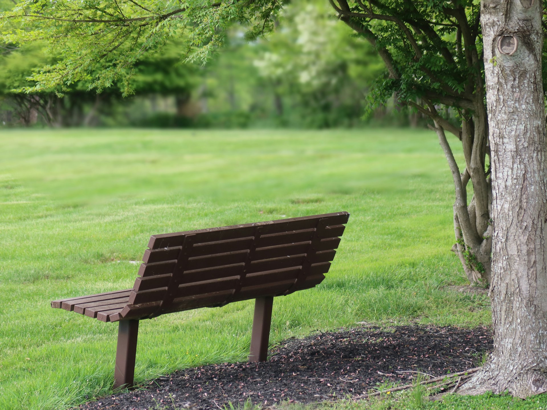 Course and correlates of mental health outcomes in Dutch bereaved people